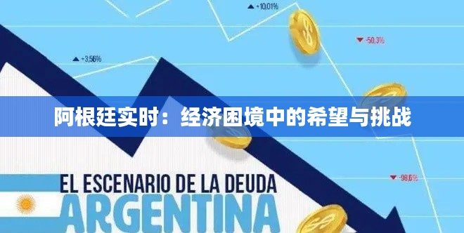 阿根廷实时：经济困境中的希望与挑战