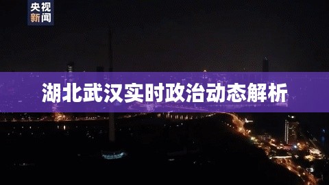 湖北武汉实时政治动态解析