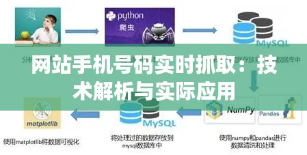 网站手机号码实时抓取：技术解析与实际应用
