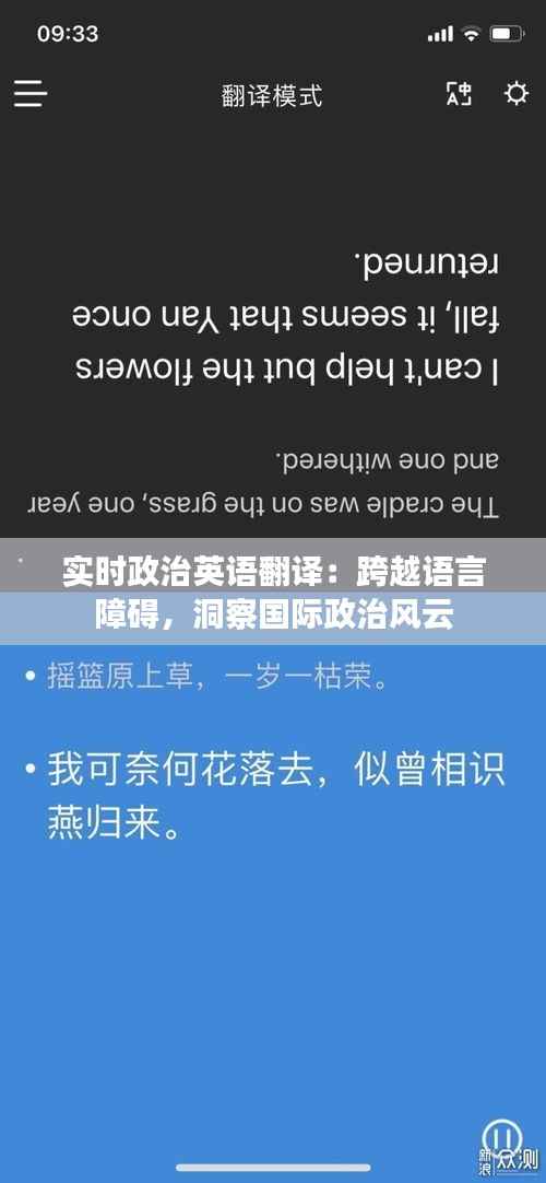 实时政治英语翻译：跨越语言障碍，洞察国际政治风云