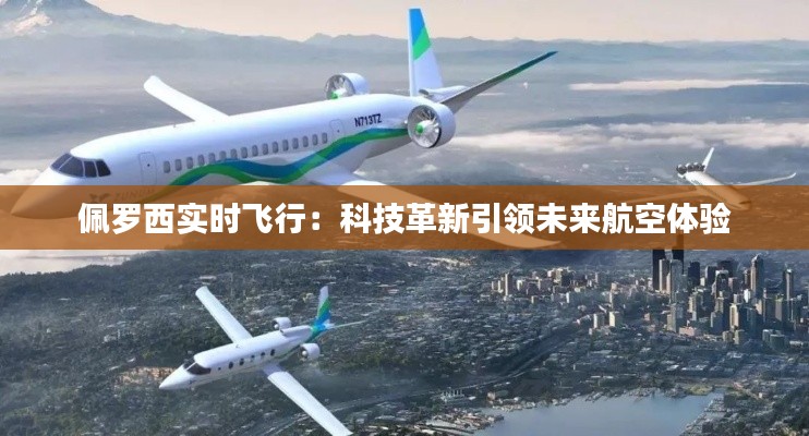 佩罗西实时飞行：科技革新引领未来航空体验