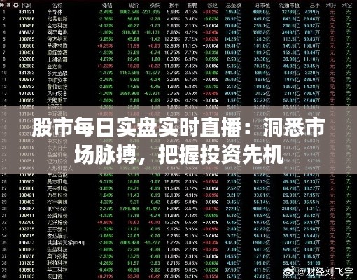 股市每日实盘实时直播：洞悉市场脉搏，把握投资先机