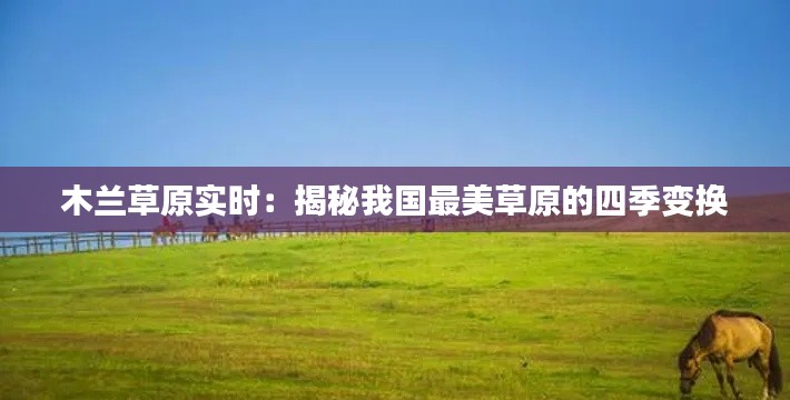 木兰草原实时：揭秘我国最美草原的四季变换