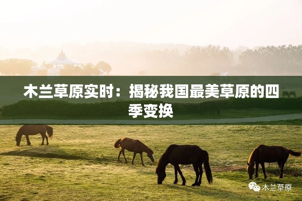 木兰草原实时:揭秘我国最美草原的四季变换