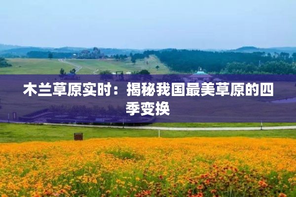 木兰草原实时:揭秘我国最美草原的四季变换