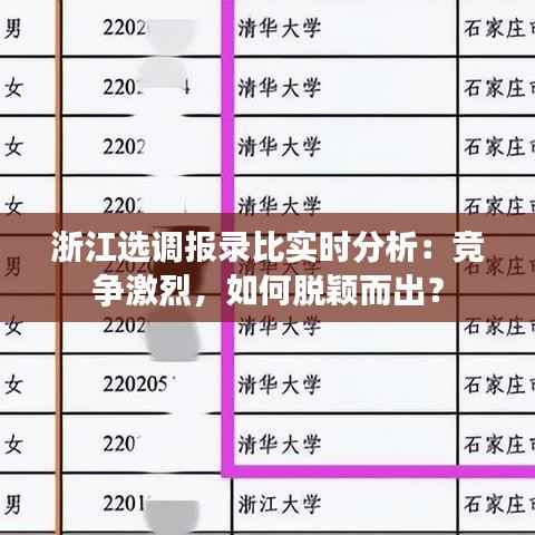 浙江选调报录比实时分析：竞争激烈，如何脱颖而出？