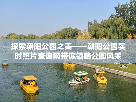 探索朝阳公园之美——朝阳公园实时照片查询网带你领略公园风采