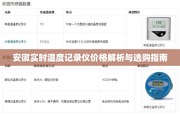 安徽实时温度记录仪价格解析与选购指南