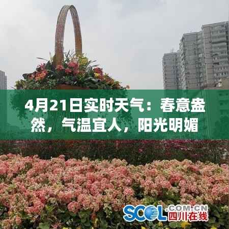 4月21日实时天气：春意盎然，气温宜人，阳光明媚