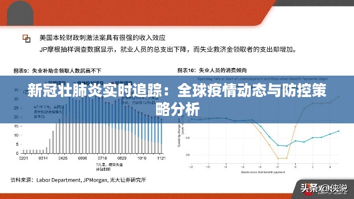新冠壮肺炎实时追踪：全球疫情动态与防控策略分析