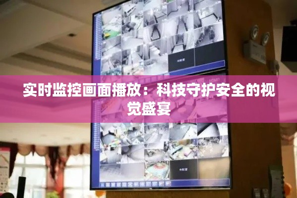 实时监控画面播放：科技守护安全的视觉盛宴