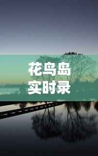 打马虎眼 第5页