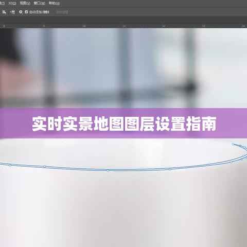 实时实景地图图层设置指南