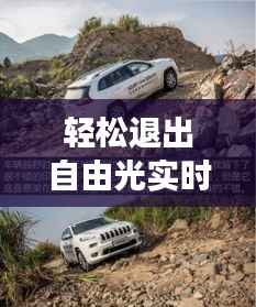 轻松退出自由光实时地图：操作指南及注意事项