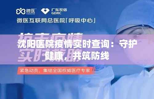 沈阳医院疫情实时查询：守护健康，共筑防线