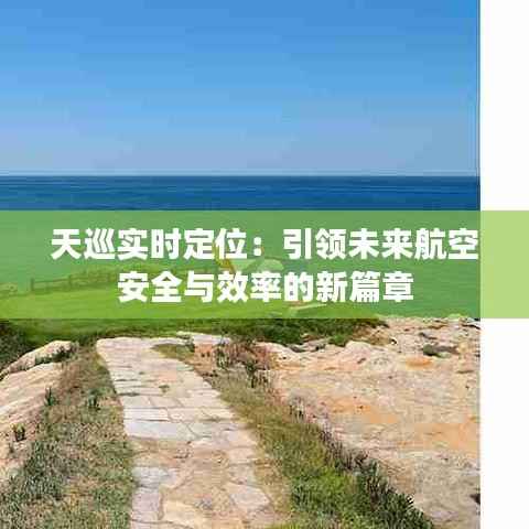 天巡实时定位：引领未来航空安全与效率的新篇章
