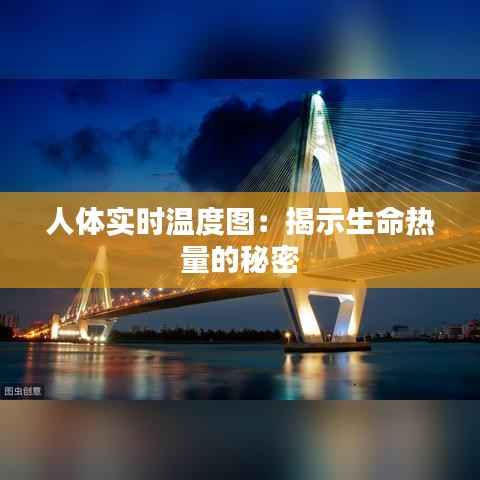 人体实时温度图：揭示生命热量的秘密