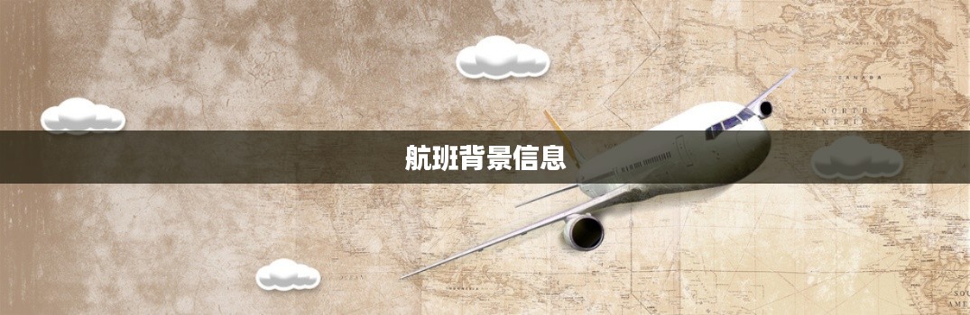航班背景信息