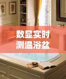 数显实时测温浴盆：科技与舒适的完美融合