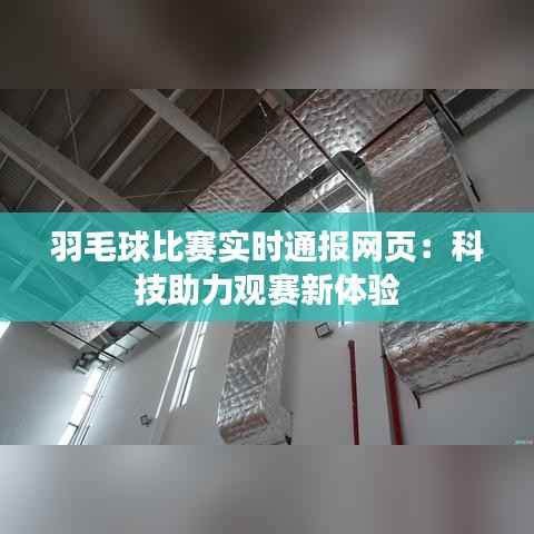 羽毛球比赛实时通报网页：科技助力观赛新体验
