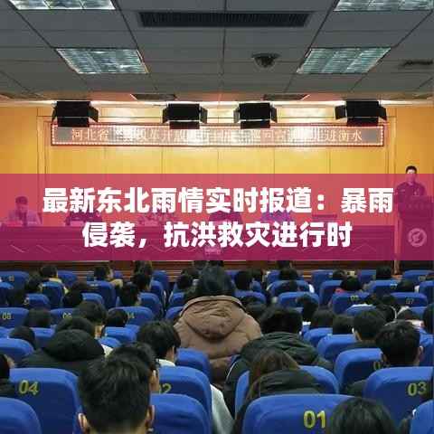 最新东北雨情实时报道：暴雨侵袭，抗洪救灾进行时