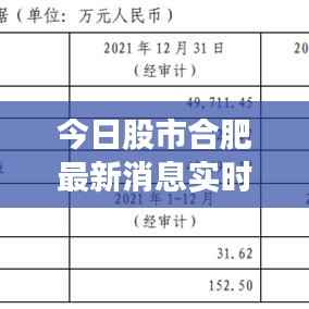 今日股市合肥最新消息实时解读：多维度分析市场动态