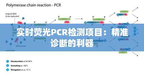 实时荧光PCR检测项目：精准诊断的利器