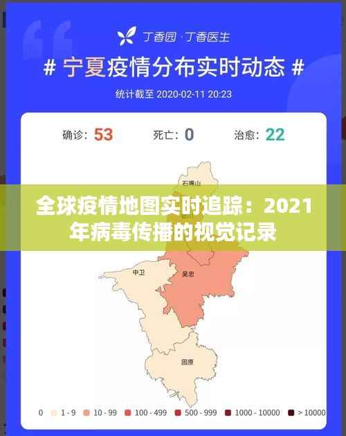 全球疫情地图实时追踪：2021年病毒传播的视觉记录