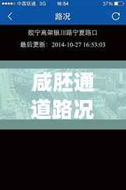 咸胚通道路况实时查询：智慧交通的未来趋势