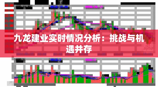 九龙建业实时情况分析：挑战与机遇并存