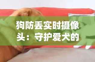 狗防丢实时摄像头：守护爱犬的科技守护神