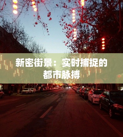 新密街景：实时捕捉的都市脉搏