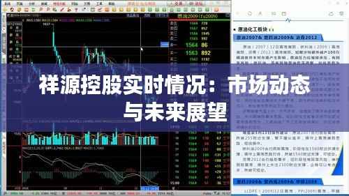 祥源控股实时情况：市场动态与未来展望