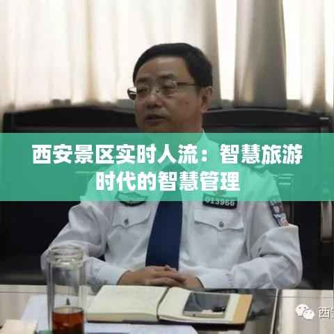 西安景区实时人流：智慧旅游时代的智慧管理