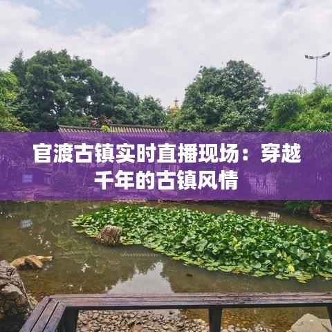 官渡古镇实时直播现场：穿越千年的古镇风情