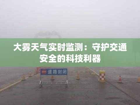 大雾天气实时监测：守护交通安全的科技利器