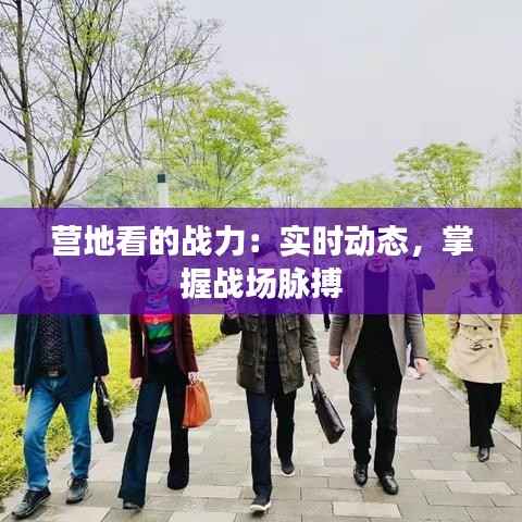 营地看的战力：实时动态，掌握战场脉搏