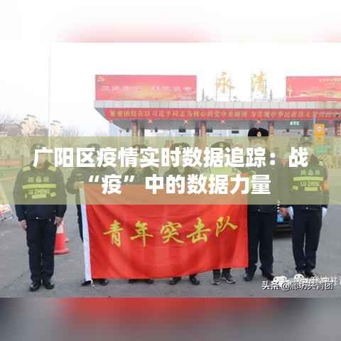 广阳区疫情实时数据追踪：战“疫”中的数据力量