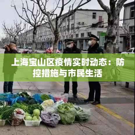 上海宝山区疫情实时动态：防控措施与市民生活