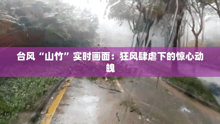 台风“山竹”实时画面：狂风肆虐下的惊心动魄