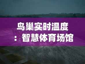 鸟巢实时温度：智慧体育场馆的温度管理革命
