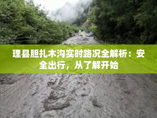 理县胆扎木沟实时路况全解析：安全出行，从了解开始