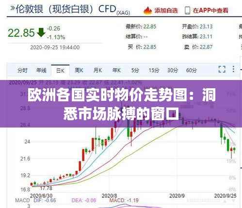 欧洲各国实时物价走势图：洞悉市场脉搏的窗口
