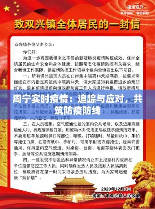 周宁实时疫情：追踪与应对，共筑防疫防线