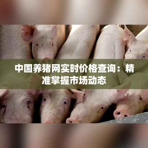 中国养猪网实时价格查询：精准掌握市场动态