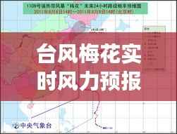 台风梅花实时风力预报：密切关注，确保安全
