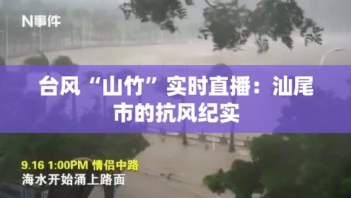 台风“山竹”实时直播：汕尾市的抗风纪实