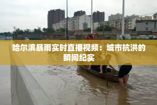 哈尔滨暴雨实时直播视频：城市抗洪的瞬间纪实