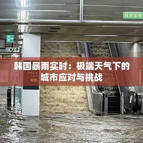 韩国暴雨实时：极端天气下的城市应对与挑战