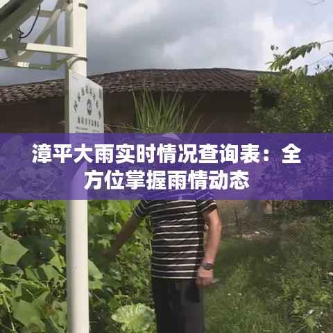 漳平大雨实时情况查询表：全方位掌握雨情动态